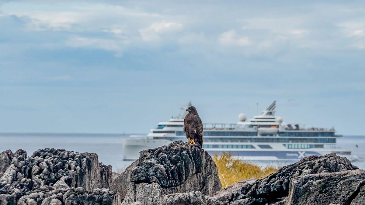 Galapagos : 20% de rabais sur toutes les croisières et forfaits croisière